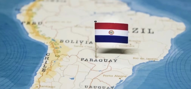 巴拉圭海关数据